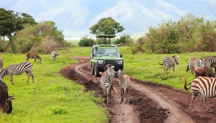 6 days tanzania safari